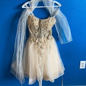 Xs champagne dress, brand Juliet, has a tie back with zipper at bottom